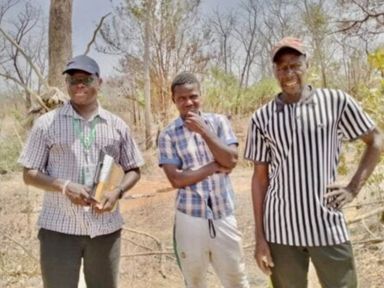 Trees for the Future