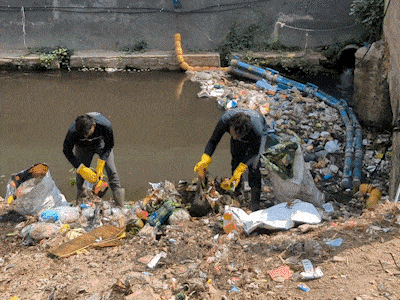 Plastic Fischer animated